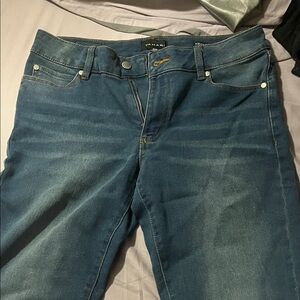 Tahari Women's Classic Denim Skinny Jeans